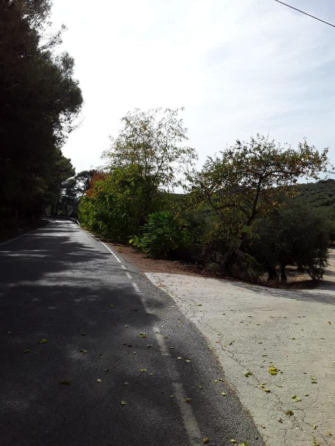 Hacienda La Buena Vida B&B En Appartementen Casita Almendas La Carrera de la Viña Exteriör bild