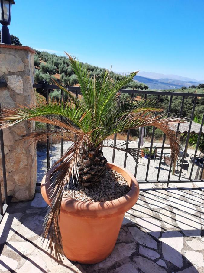 Hacienda La Buena Vida B&B En Appartementen Casita Almendas La Carrera de la Viña Exteriör bild