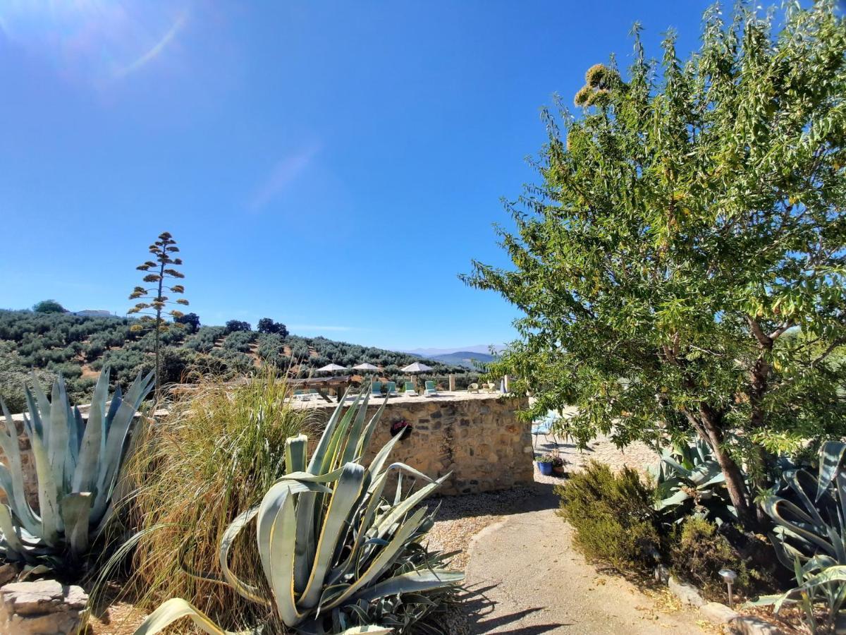 Hacienda La Buena Vida B&B En Appartementen Casita Almendas La Carrera de la Viña Exteriör bild