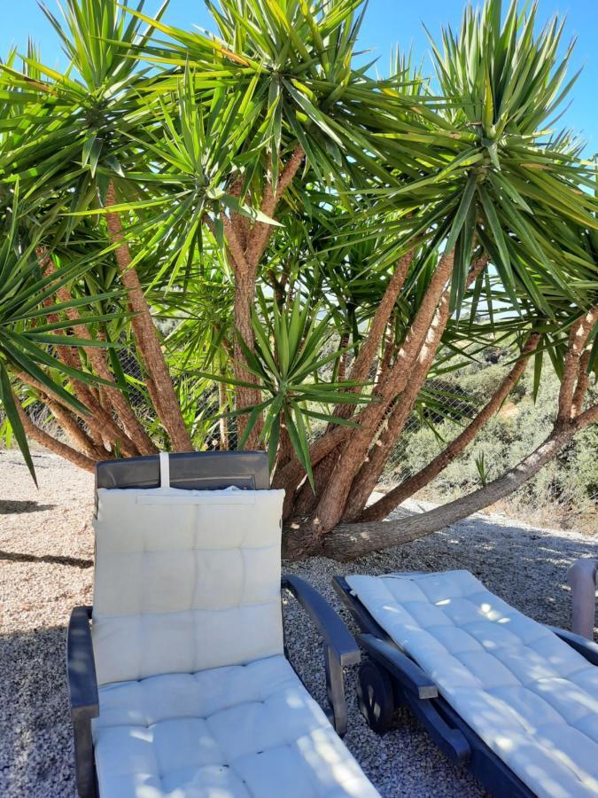 Hacienda La Buena Vida B&B En Appartementen Casita Almendas La Carrera de la Viña Exteriör bild
