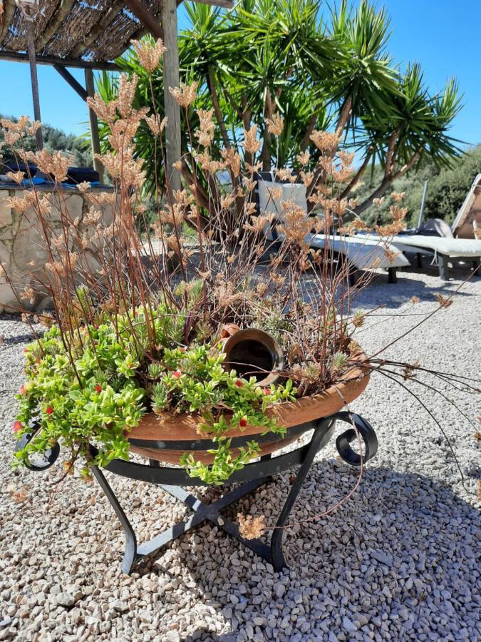 Hacienda La Buena Vida B&B En Appartementen Casita Almendas La Carrera de la Viña Exteriör bild