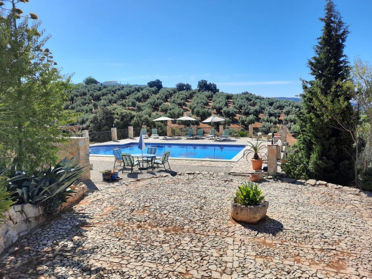 Hacienda La Buena Vida B&B En Appartementen Casita Almendas La Carrera de la Viña Exteriör bild