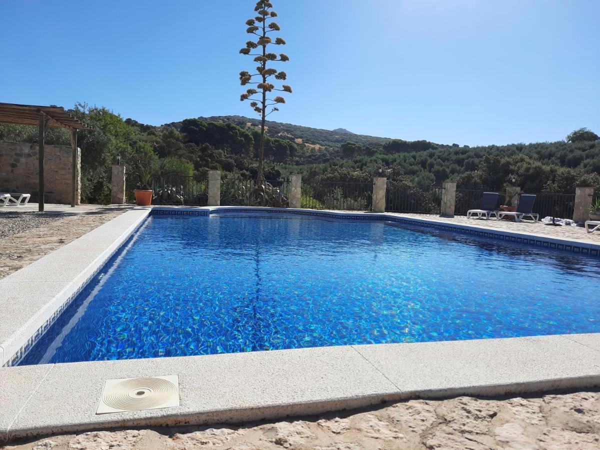 Hacienda La Buena Vida B&B En Appartementen Casita Almendas La Carrera de la Viña Exteriör bild
