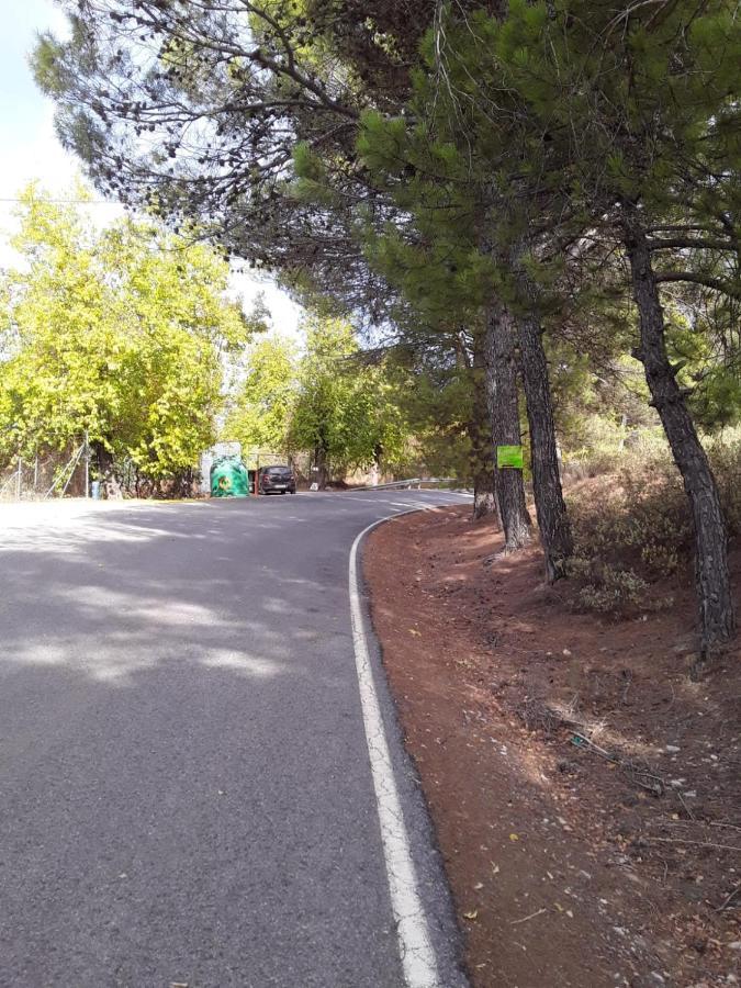 Hacienda La Buena Vida B&B En Appartementen Casita Almendas La Carrera de la Viña Exteriör bild