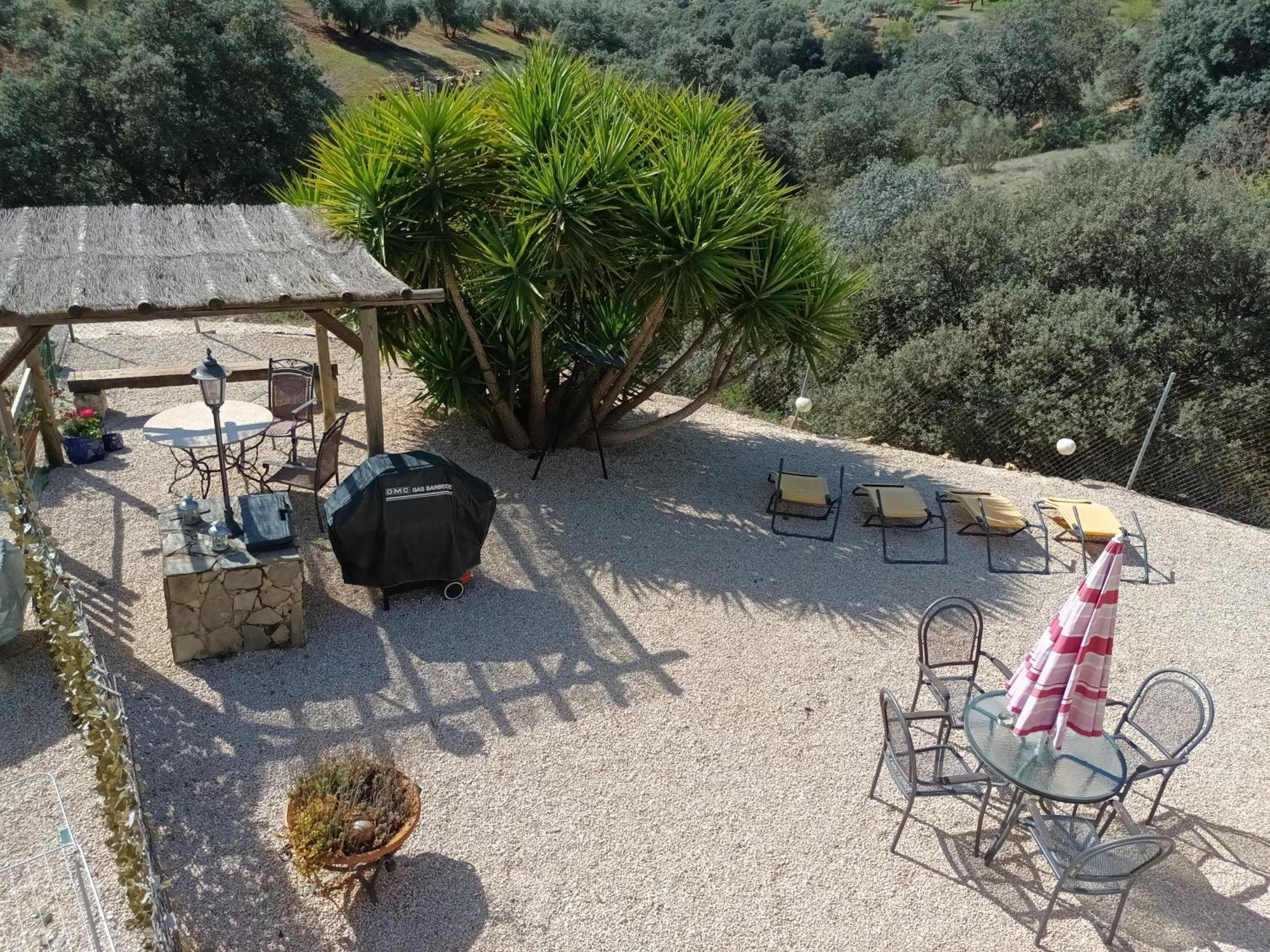 Hacienda La Buena Vida B&B En Appartementen Casita Almendas La Carrera de la Viña Exteriör bild